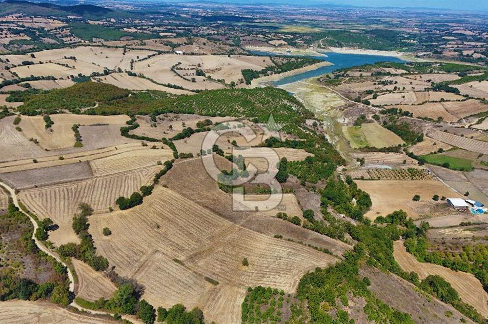 Çanakkale Biga Çeltik Köyünde 20.900 m2 Satılık Fırsat Tarla !