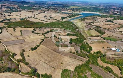 Çanakkale Biga Çeltik Köyünde 20.900 m2 Satılık Fırsat Tarla !