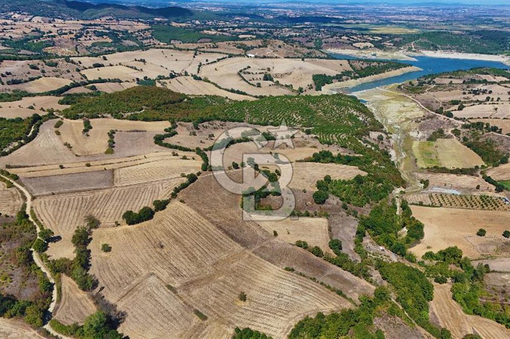 Çanakkale Biga Çeltik Köyünde 20.900 m2 Satılık Fırsat Tarla !