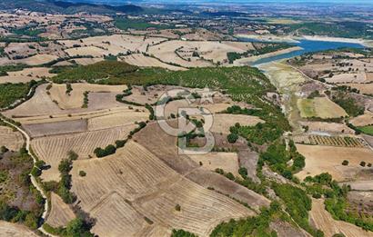 Çanakkale Biga Çeltik Köyünde 20.900 m2 Satılık Fırsat Tarla !