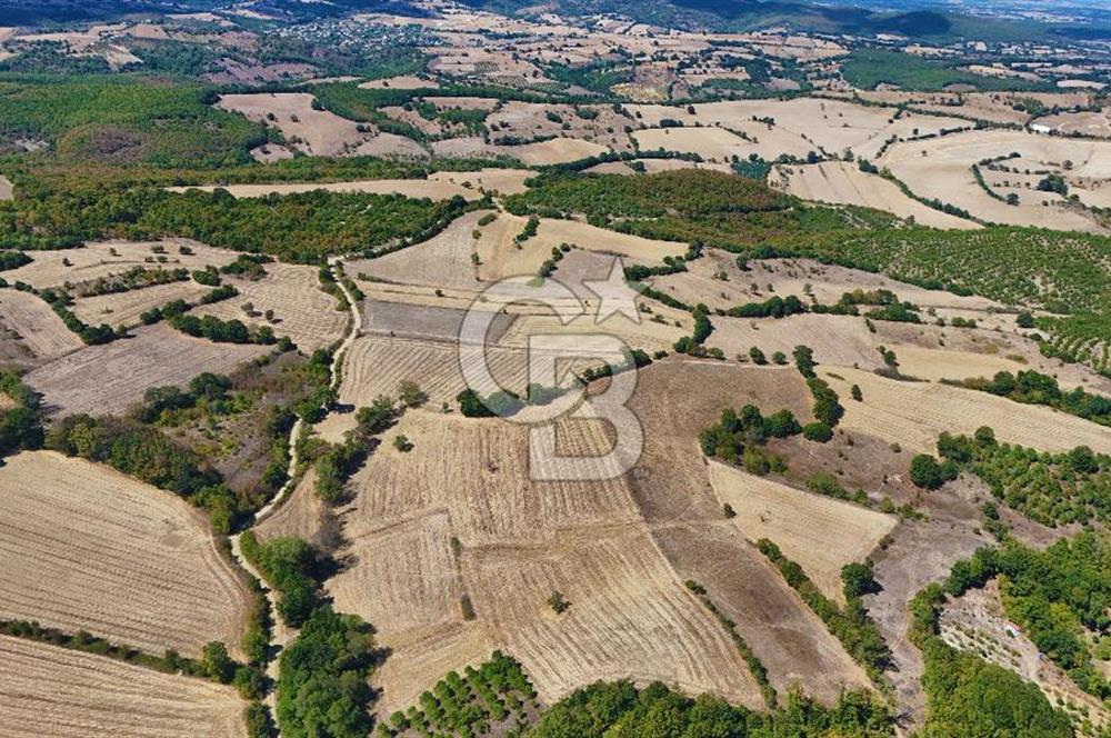 Çanakkale Biga Çeltik Köyünde 20.900 m2 Satılık Fırsat Tarla !