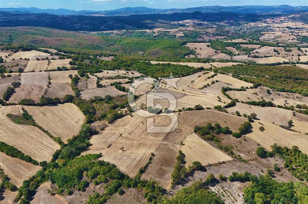 Çanakkale Biga Çeltik Köyünde 20.900 m2 Satılık Fırsat Tarla !