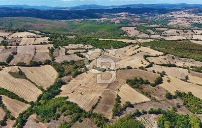 Çanakkale Biga Çeltik Köyünde 20.900 m2 Satılık Fırsat Tarla !