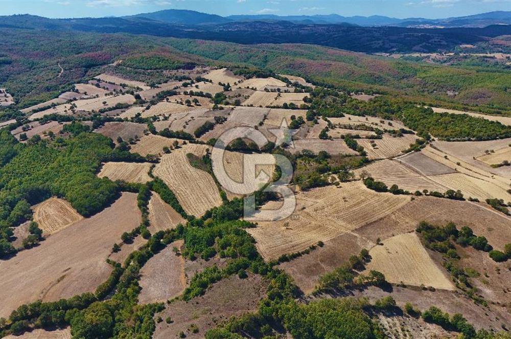Çanakkale Biga Çeltik Köyünde 20.900 m2 Satılık Fırsat Tarla !