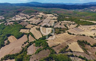 Çanakkale Biga Çeltik Köyünde 20.900 m2 Satılık Fırsat Tarla !