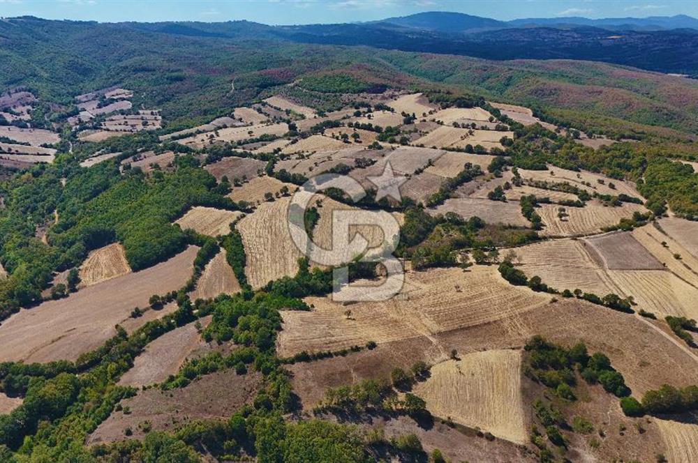 Çanakkale Biga Çeltik Köyünde 20.900 m2 Satılık Fırsat Tarla !