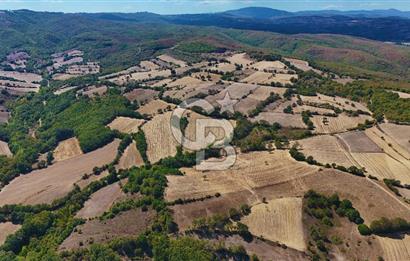 Çanakkale Biga Çeltik Köyünde 20.900 m2 Satılık Fırsat Tarla !