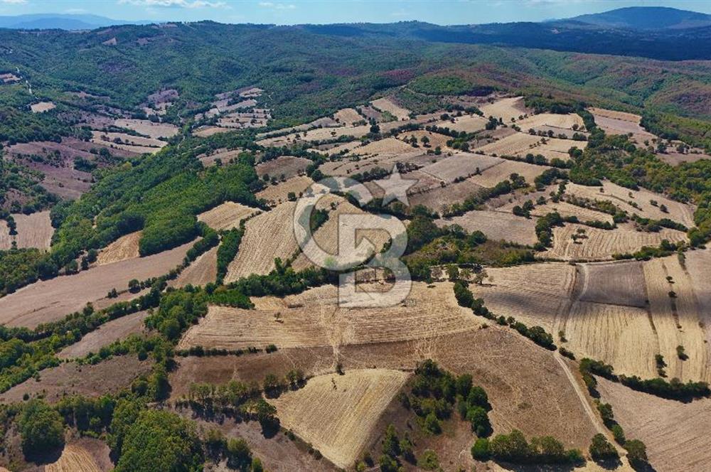 Çanakkale Biga Çeltik Köyünde 20.900 m2 Satılık Fırsat Tarla !