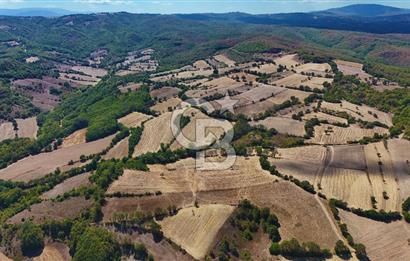 Çanakkale Biga Çeltik Köyünde 20.900 m2 Satılık Fırsat Tarla !