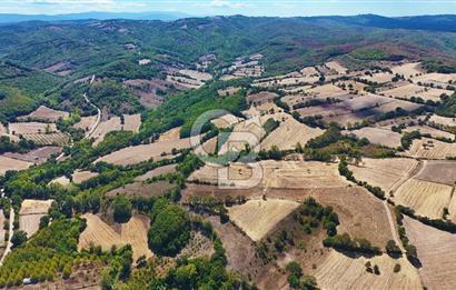 Çanakkale Biga Çeltik Köyünde 20.900 m2 Satılık Fırsat Tarla !