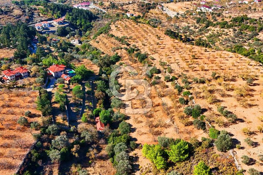Datça Sındı'da 10.546 m² Tarla