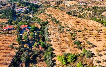Datça Sındı'da 10.546 m² Tarla