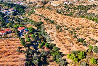 Datça Sındı'da 10.546 m² Tarla