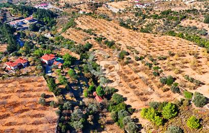 Datça Sındı'da 10.546 m² Tarla
