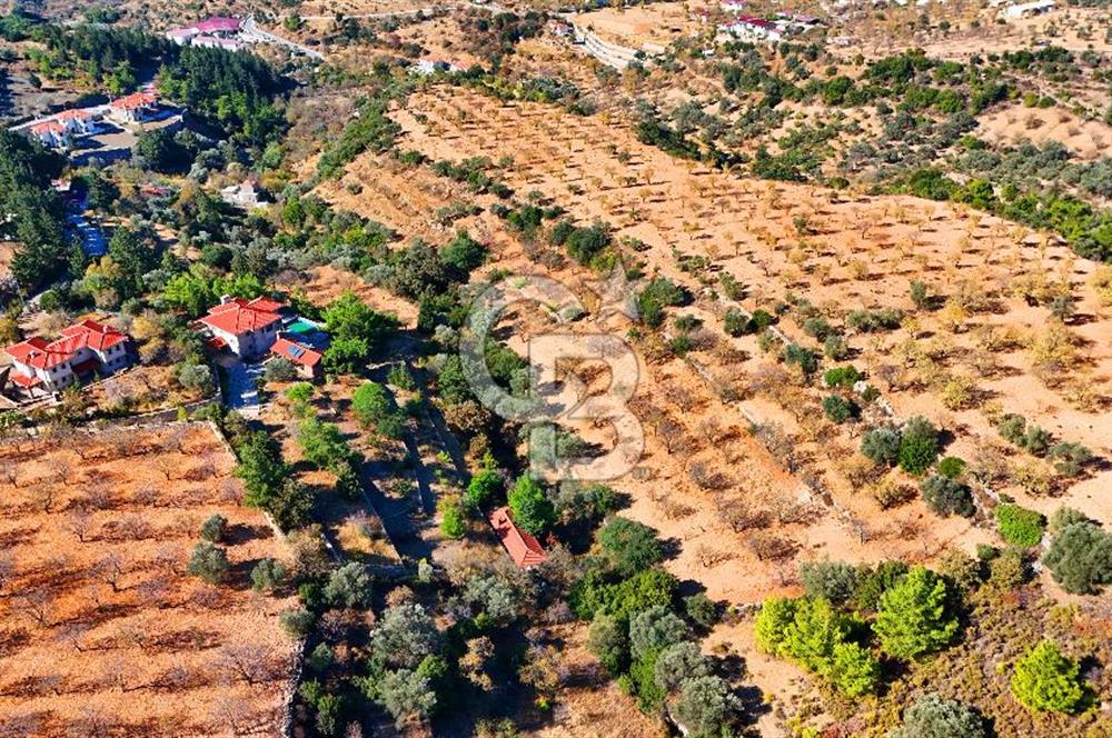 Datça Sındı'da 10.546 m² Tarla