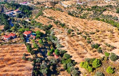 Datça Sındı'da 10.546 m² Tarla