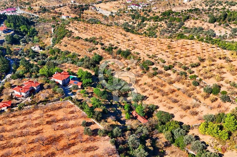 Datça Sındı'da 10.546 m² Tarla