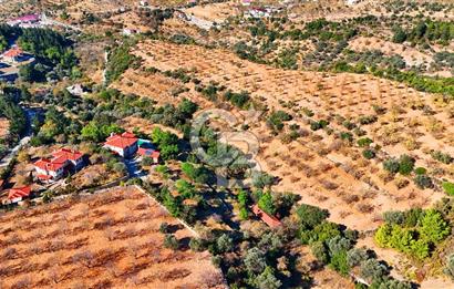 Datça Sındı'da 10.546 m² Tarla