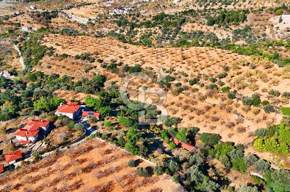 Datça Sındı'da 10.546 m² Tarla