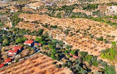 Datça Sındı'da 10.546 m² Tarla
