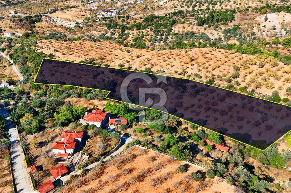 Datça Sındı'da 10.546 m² Tarla