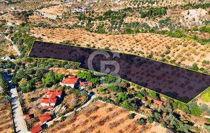 Datça Sındı'da 10.546 m² Tarla