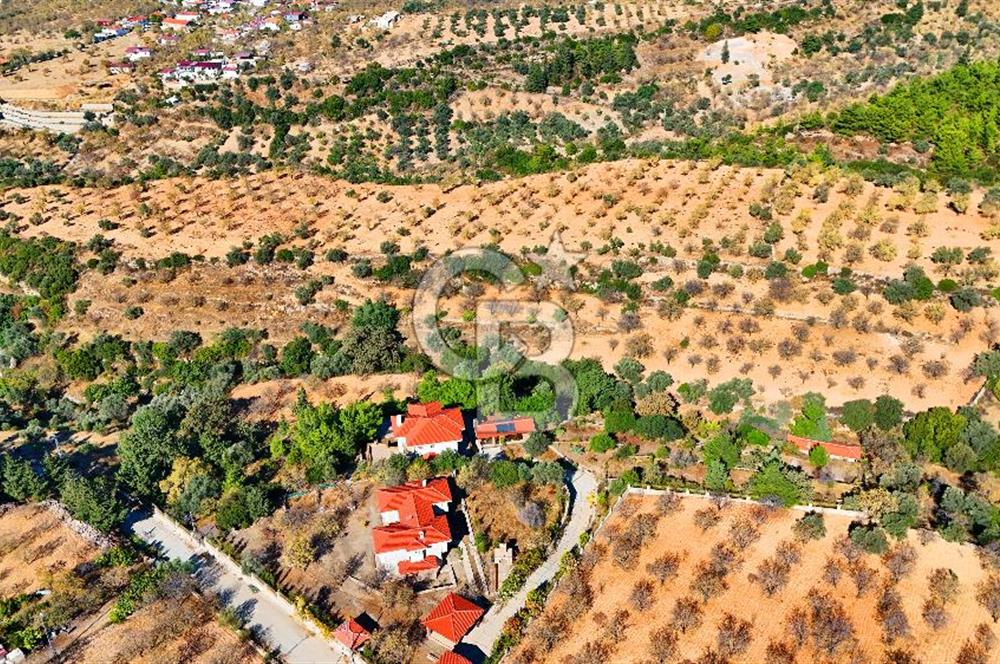 Datça Sındı'da 10.546 m² Tarla