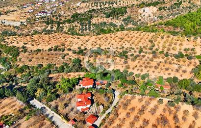 Datça Sındı'da 10.546 m² Tarla
