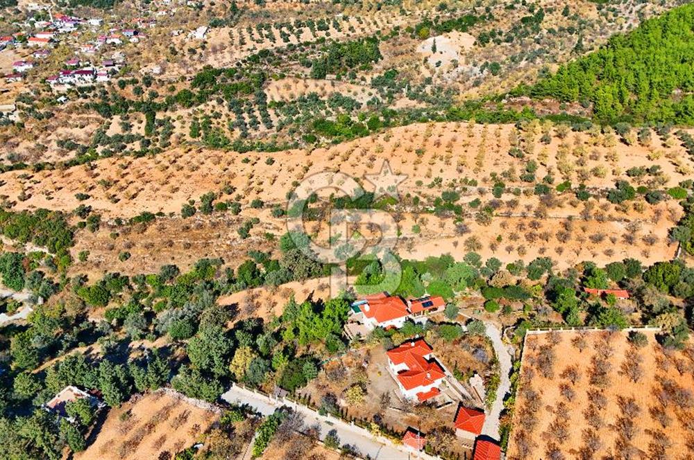 Datça Sındı'da 10.546 m² Tarla
