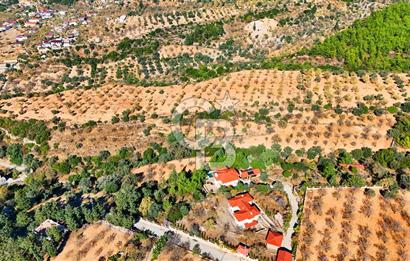 Datça Sındı'da 10.546 m² Tarla