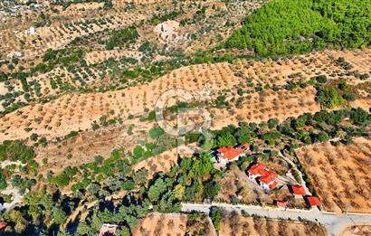 Datça Sındı'da 10.546 m² Tarla
