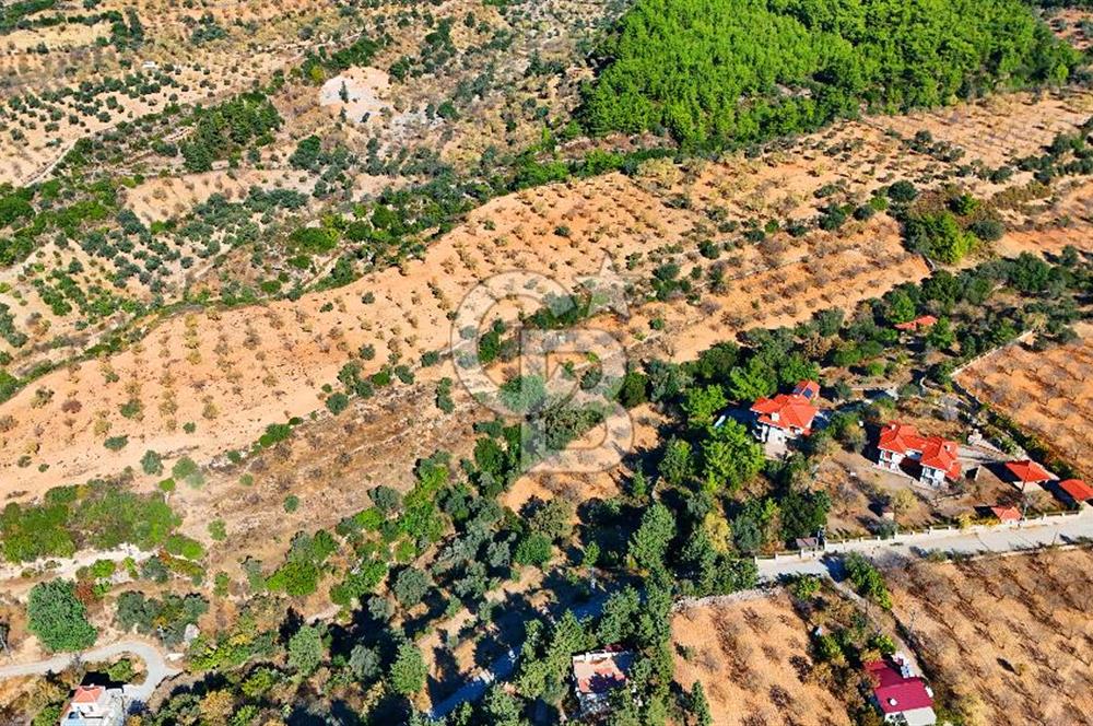 Datça Sındı'da 10.546 m² Tarla
