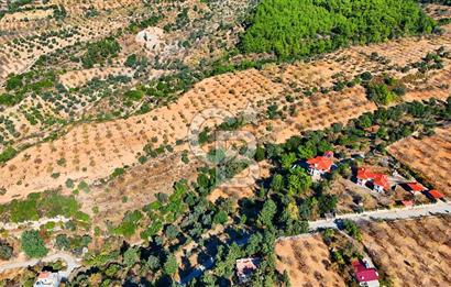 Datça Sındı'da 10.546 m² Tarla