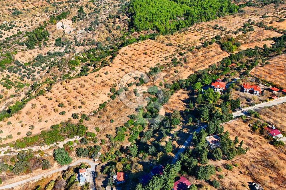 Datça Sındı'da 10.546 m² Tarla