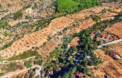 Datça Sındı'da 10.546 m² Tarla