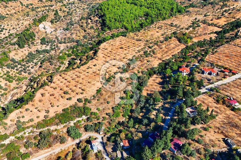 Datça Sındı'da 10.546 m² Tarla