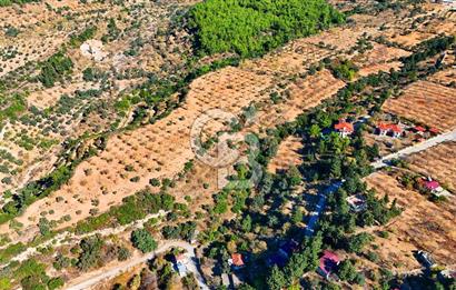 Datça Sındı'da 10.546 m² Tarla