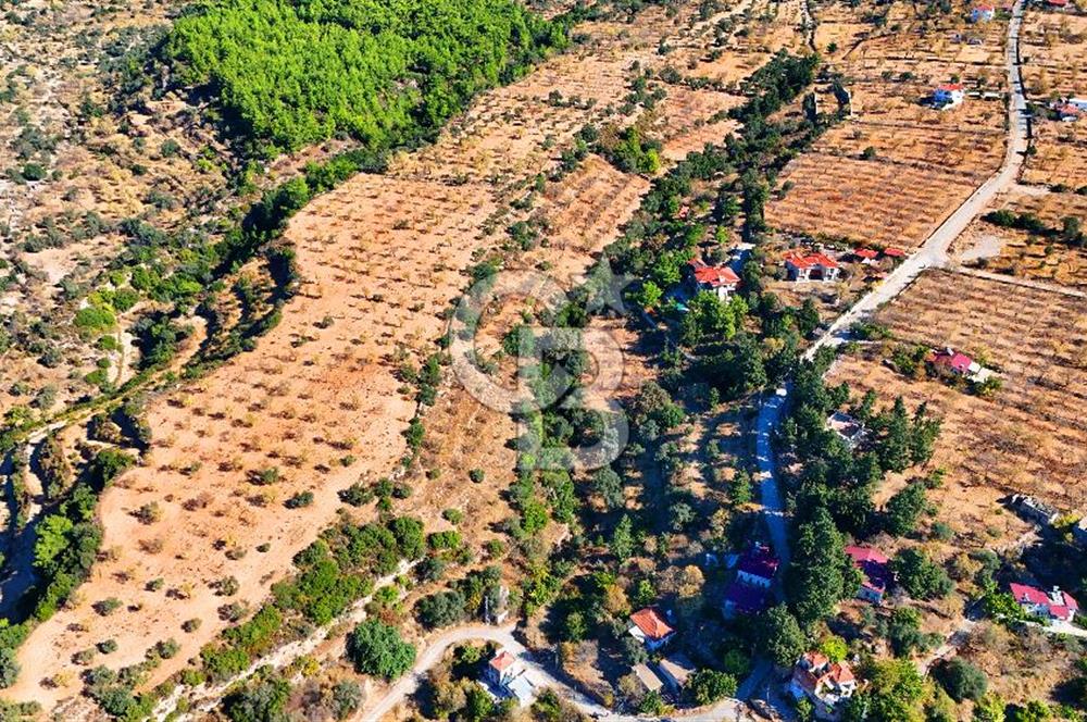 Datça Sındı'da 10.546 m² Tarla