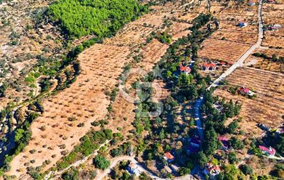 Datça Sındı'da 10.546 m² Tarla