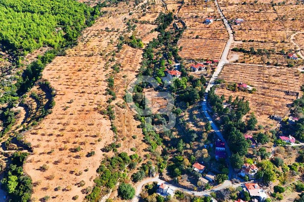 Datça Sındı'da 10.546 m² Tarla