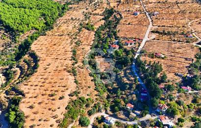 Datça Sındı'da 10.546 m² Tarla