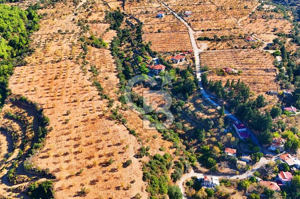 Datça Sındı'da 10.546 m² Tarla