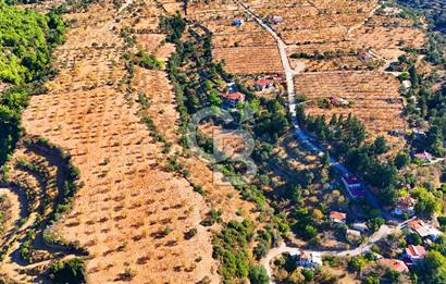 Datça Sındı'da 10.546 m² Tarla
