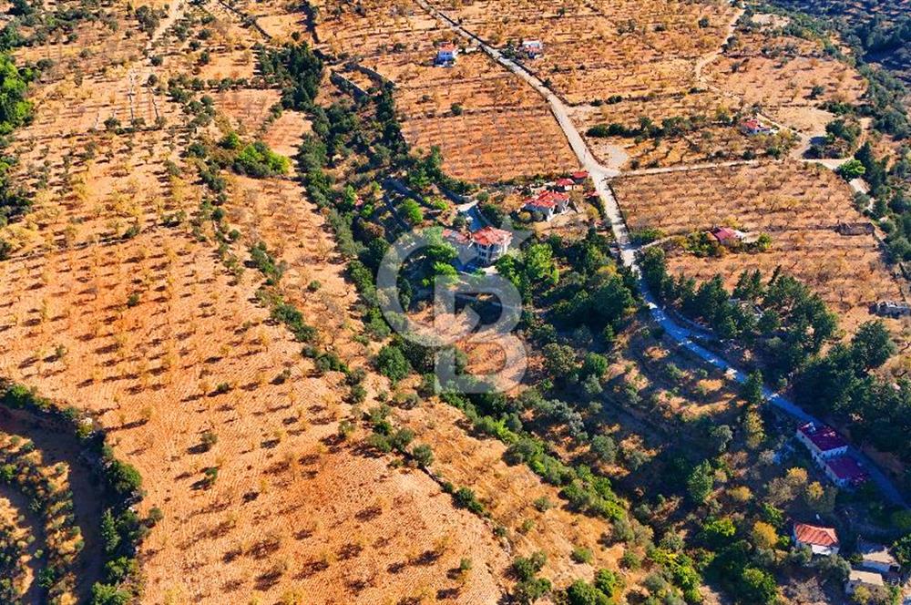 Datça Sındı'da 10.546 m² Tarla