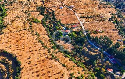 Datça Sındı'da 10.546 m² Tarla