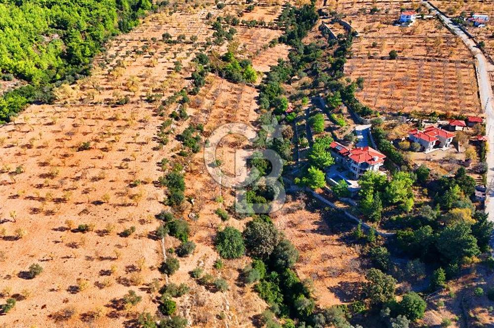 Datça Sındı'da 10.546 m² Tarla