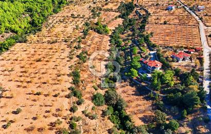 Datça Sındı'da 10.546 m² Tarla
