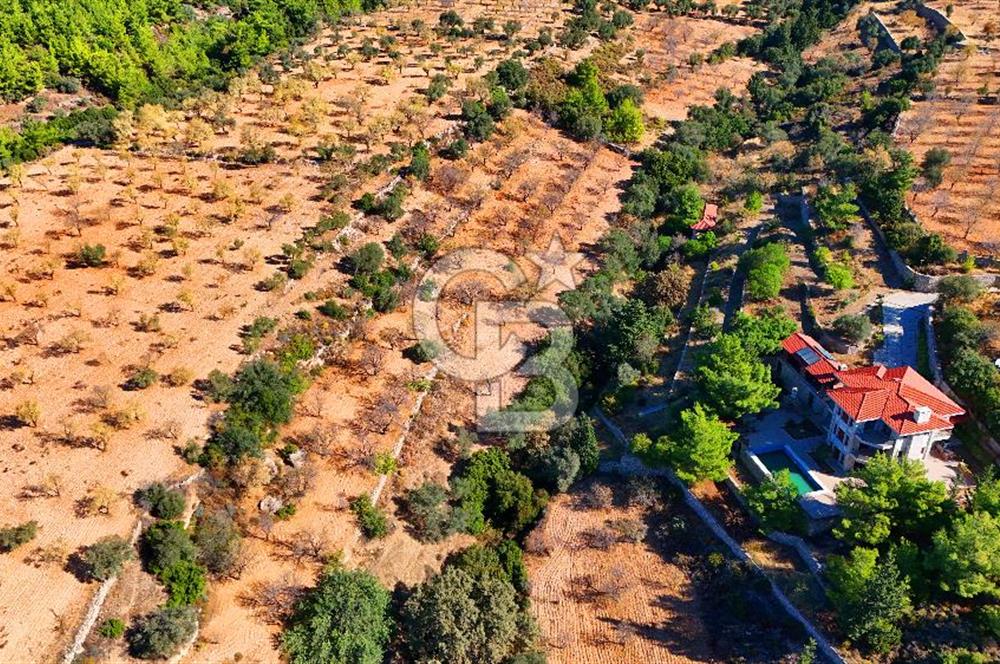 Datça Sındı'da 10.546 m² Tarla