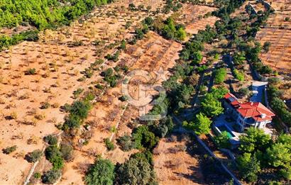 Datça Sındı'da 10.546 m² Tarla