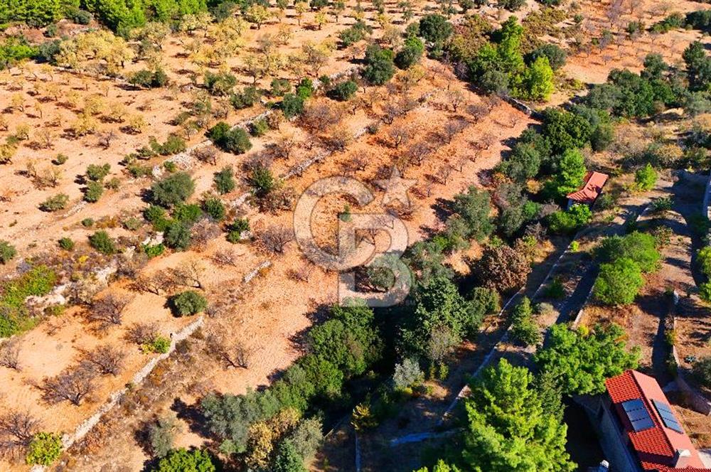 Datça Sındı'da 10.546 m² Tarla